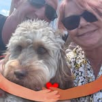 Sue Meredith - @sue.meredith76 - Instagram