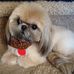 Sue Merrill - Facebook