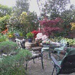 Sue Walsh - @suemick.sw61 - Instagram
