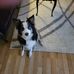 Sue Mickelson - Facebook