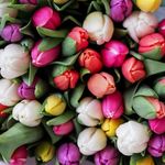 Sue Molnar Bullman - @sueb16403 - Instagram