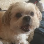 Sue Moro - @suesbooknook - Instagram