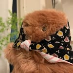 すえもろ - @suemo_ro - Instagram