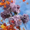 Donna Sue Morrell - @donna.sue.morrell - TikTok