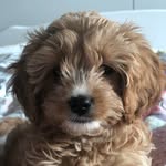 Sue Morrell - @morrell.sue - Instagram