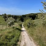 Sue Morrell - @sues_walks - Instagram