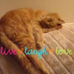 Sue Morrow - @sue.morrow - Instagram