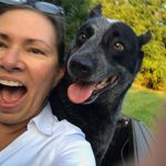 Sue Morrow - @suelmorrow - Instagram