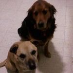 Sue Morrow - @sue.morrow.5 - Instagram