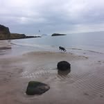 Sue Morton - @sue8103 - Instagram