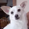 suemortonkolker - @suemortonkolker - TikTok
