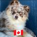 Molian Susan - Facebook