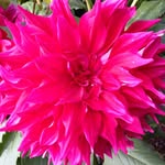 Susan Mullany - @suemullany - Instagram