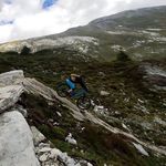 Sue Müller - @sueholenstein - Instagram
