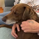 Sue Koetterhagen Nesbitt - @osuzieq51 - Instagram