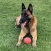 Sue Nesbitt - Facebook