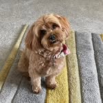 Sue Newcombe - @suenewuk - Instagram