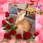 Mellissa Sue Nightingale - Facebook