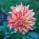 Sue Nightingale - @suenight8 - Instagram