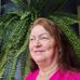Sueli Noll - Facebook
