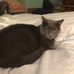 Susan Noll - Facebook