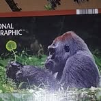 África Sue North - Facebook