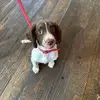 Sue North - @sue.north2 - TikTok