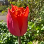 Sue Nutter - @nutter.sue - Instagram