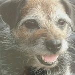 Sue Oakes - @sue.oakes.7 - Instagram