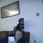 Sue Oakes-Cheshire - @oakescheshire - Instagram