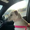 sueoakes7 - @sue.oakes1 - TikTok