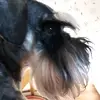 Sue.Oakes - @sue.oakes - TikTok