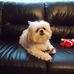 Susan Oakes - Facebook