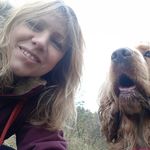Sue O'Brien - @sue.obrien.56884 - Instagram
