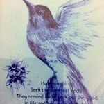 Sue Wade - @sue.obrienwade - Instagram