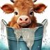 Sue O'Connor - Facebook