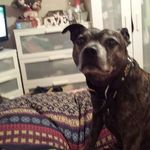 Sue Oconnor - @sue.oconnor.77964 - Instagram