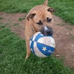 Sue ONeal - @babyfacehooch - Instagram