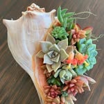 Sue Otis Kazma Neser - @jennymurphy927 - Instagram