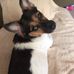 Sue Ott - Facebook