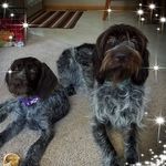 Sue Ott - @yrhaar - Instagram