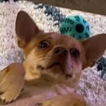 Peggy - @peggysuepalumbo - Instagram
