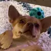 PeggySuePalumbo - @peggysuepalumbo - TikTok