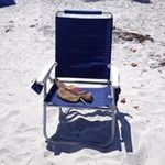 Sue Palumbo - @shelumbo - Instagram