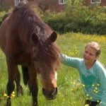 Sue Parry - @bearcottage27 - Instagram