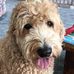 Sue Pass - Facebook
