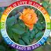 Sue Pass - Facebook