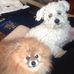 Susan Pass - Facebook
