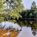 Sue Patten - @sue.patten.56 - Instagram