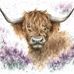 Sue Paull - Facebook